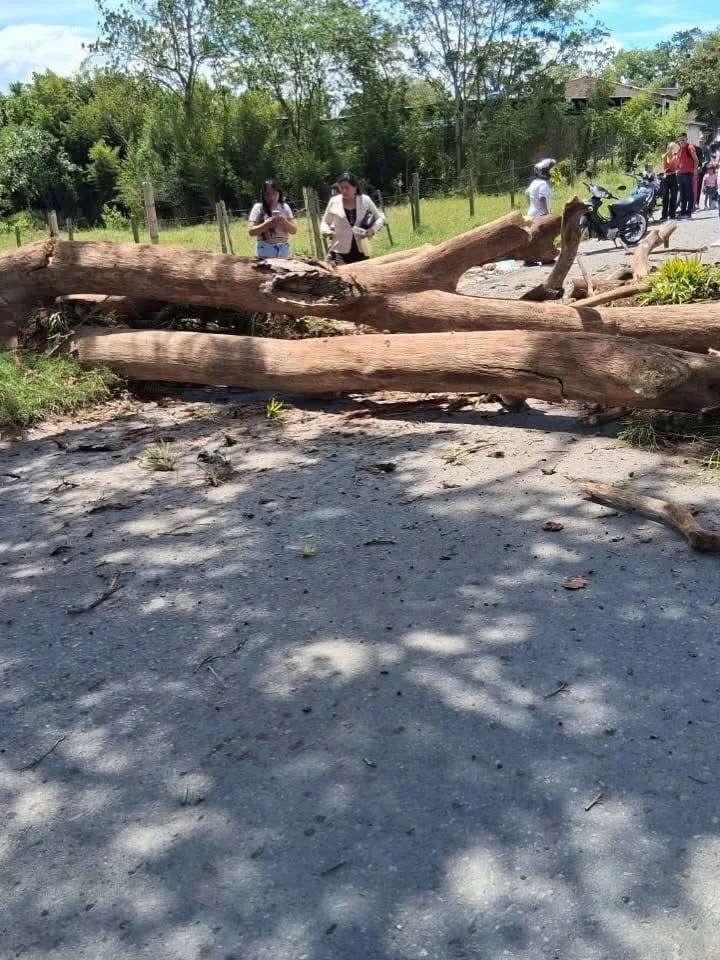 TRAGEDIA EN LA VÍA PITALITO–ACEVEDO: MOTOCICLISTA MURIÓ TRAS CAERLE UN ÁRBOL